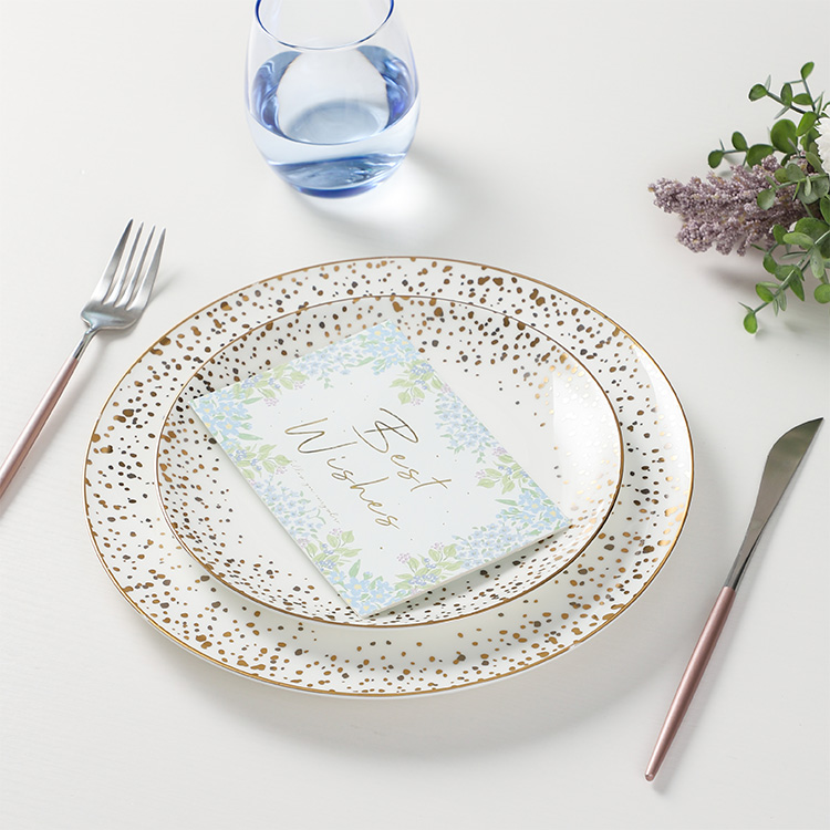 Conjunto de pratos de jantar de cerâmica nórdica (4)