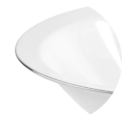 Silver Rim Ceramic Plate