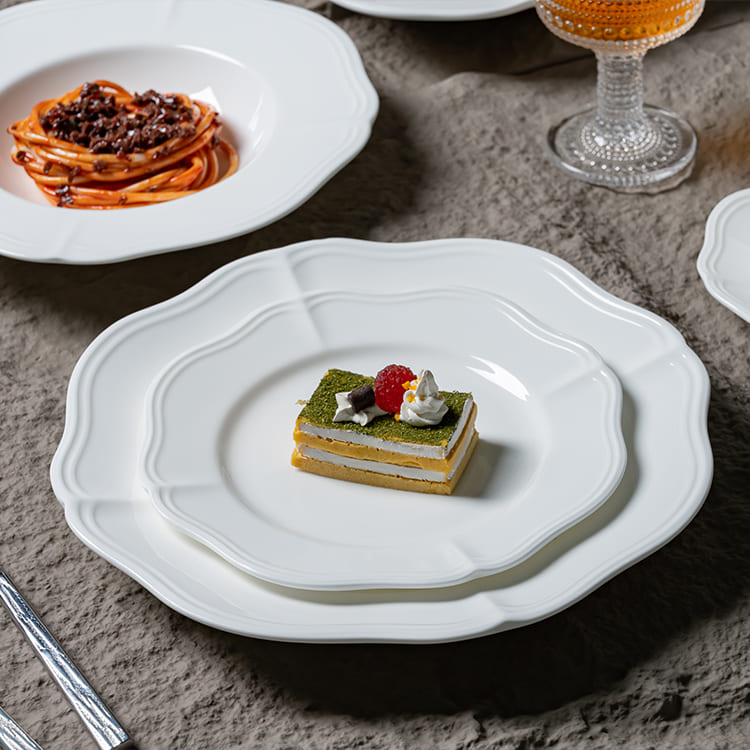 White Porcelain Plates Set Dinner Plates (2)