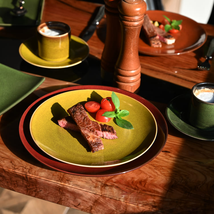 Seasonal Glazed Dinner Plates (4)