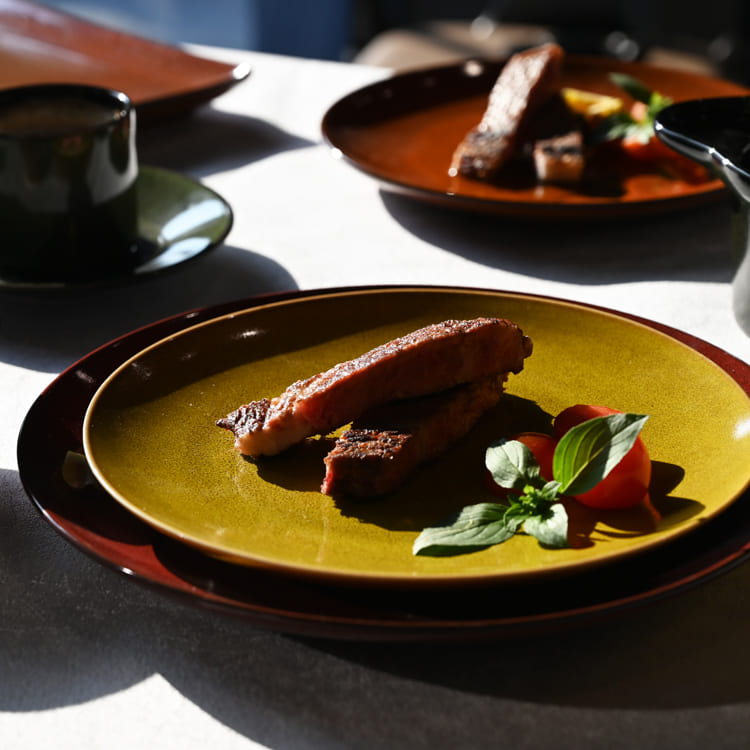 Seasonal Glazed Dinner Plates (5)