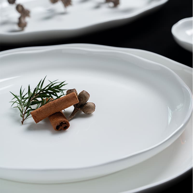 White Bone China Dinner Plate Bowls (6)