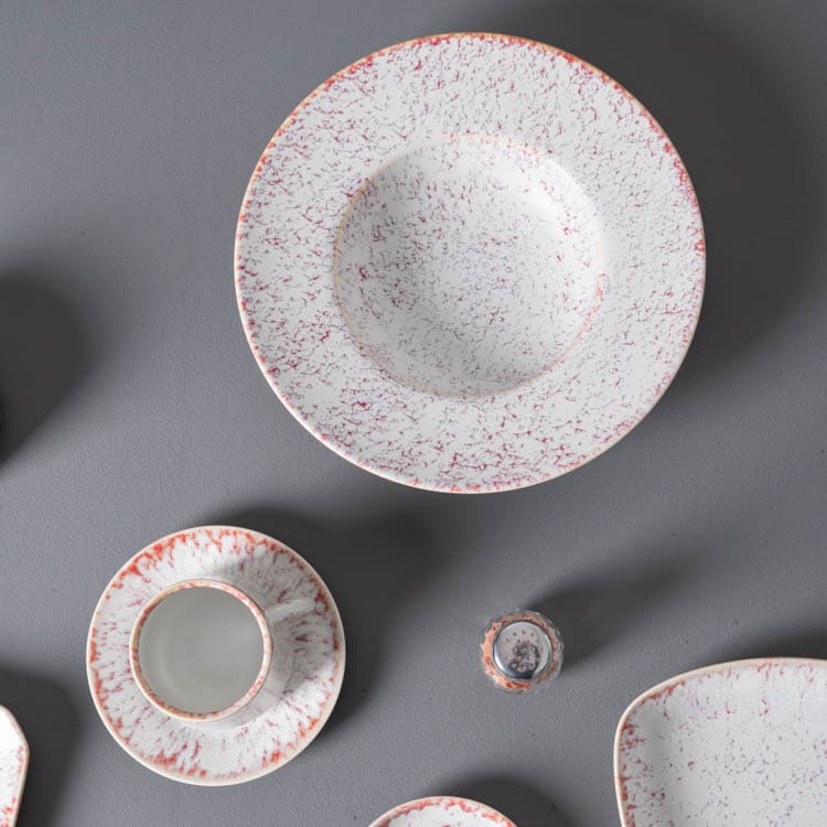 Vajilla de porcelana esmaltada (3)