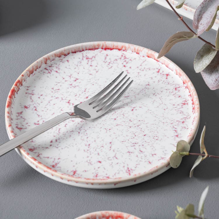 Vajilla de porcelana esmaltada (5)