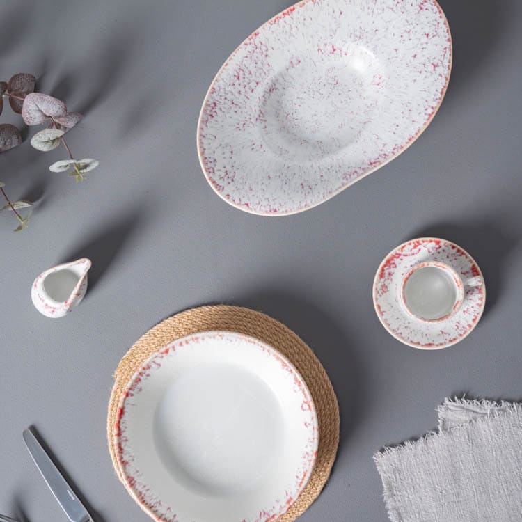 Vajilla de porcelana esmaltada (6)