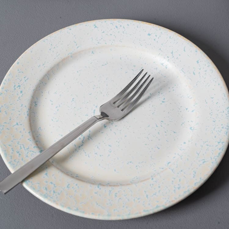 plato llano esmaltado (3)