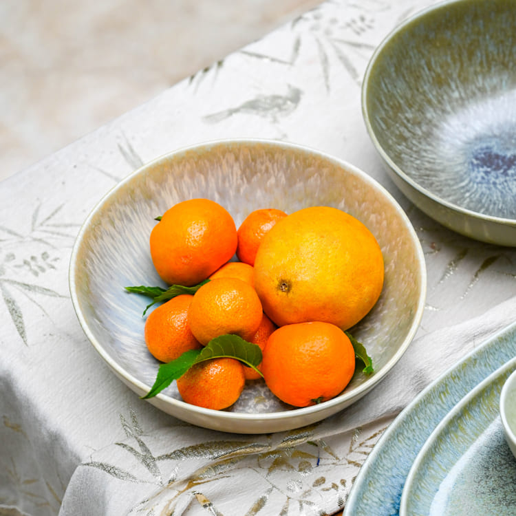 Blue Glazed Dinner Set (5)