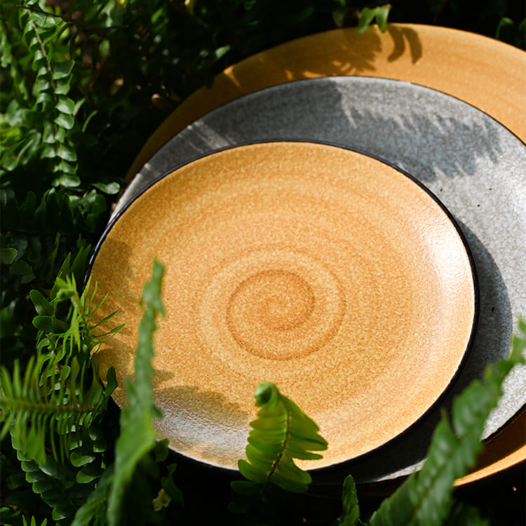 Reactive Glaze Matte Dinner Plates (1)