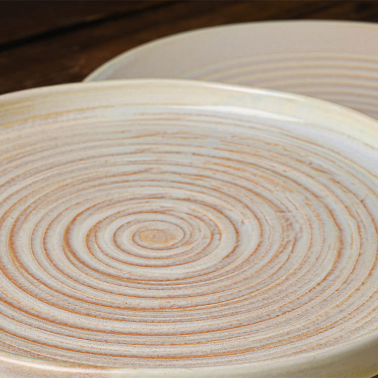 Spiral Porcelain Round Dinner Plate (3)