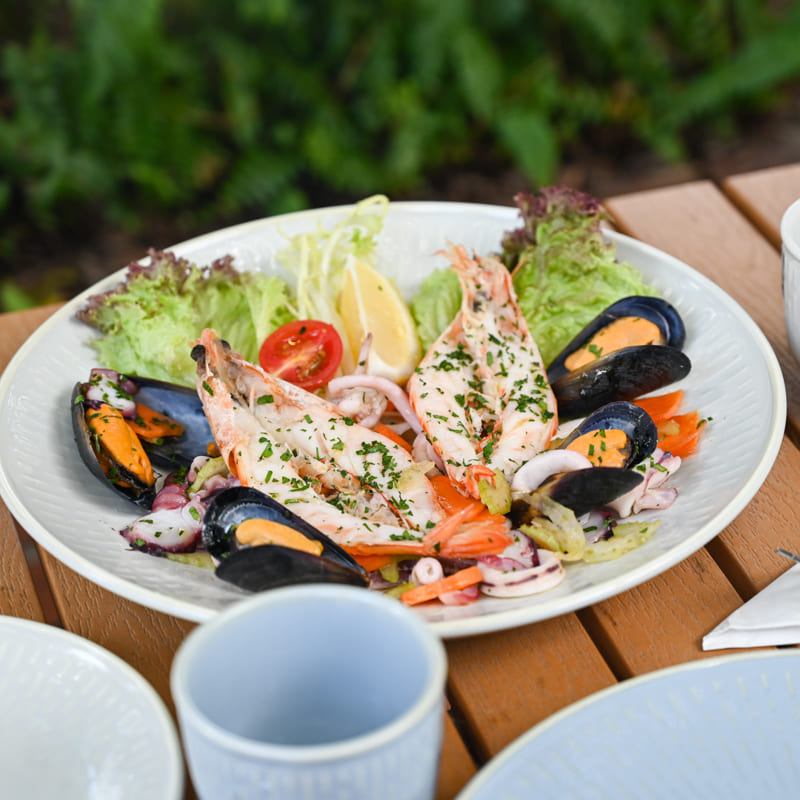 Modern Porcelain Salad Plate (3)