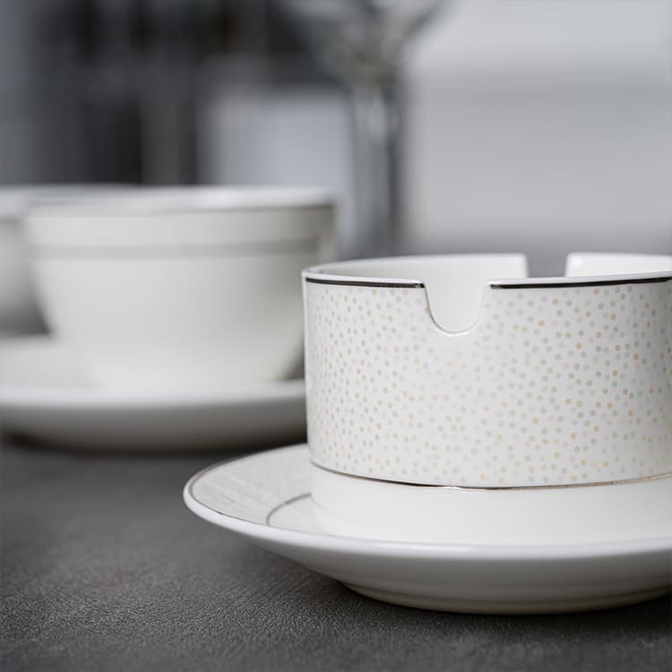 Silver Rim Bone China Dinnerware (3)