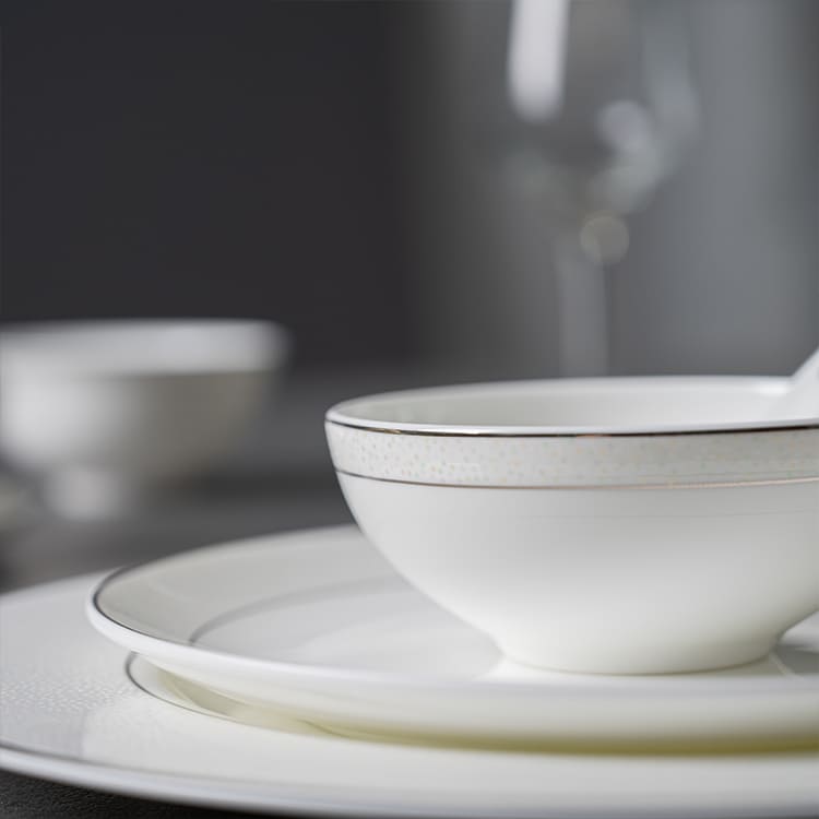 Silver Rim Bone China Dinnerware (4)